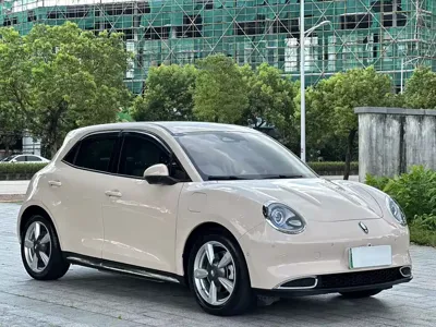 ORA Ora Good Cat 2022, 48000 км, за 8676.48 USD