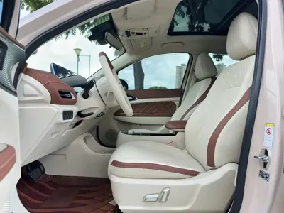 ORA Ora Good Cat 2022, 48000 км, за 8676.48 USD