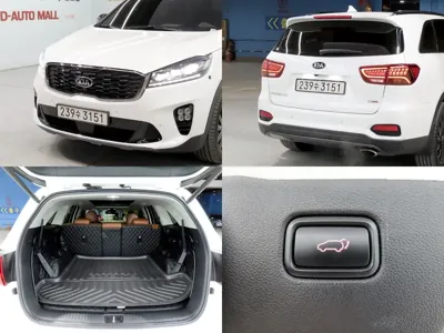 Kia Sorento 2020, 98000 км, за 16771.91 USD - фото 18