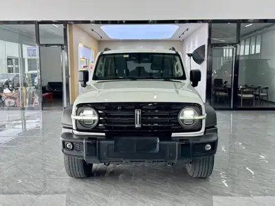 Tank Tank 300 2021, 58000 км, за 17108.31 USD