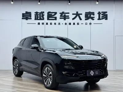 Jetour Dasheng 2022, 28000 км, за 11610.59 USD