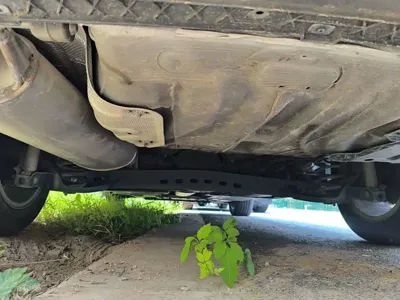 Volkswagen Lavida 2020, 68800 км, за 8475.41 USD - фото 24
