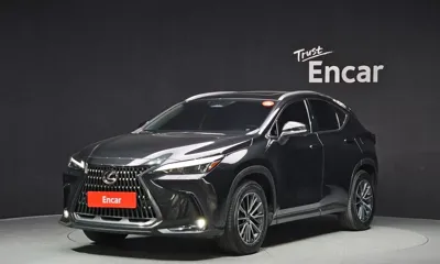 Lexus NX · 2024 год