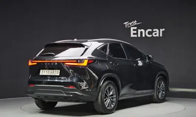 Lexus NX 2024, 60381 км, за 34291.37 USD