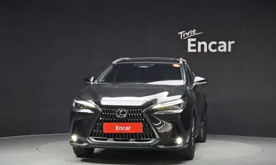 Lexus NX 2024, 60381 км, за 34291.37 USD