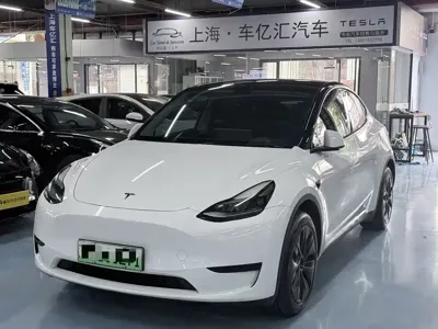 Tesla Model Y · 2023 год