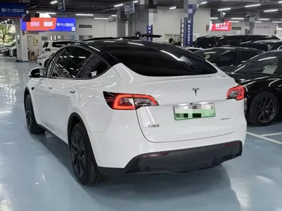 Tesla Model Y 2023, 44000 км, за 24830.94 USD - фото 7