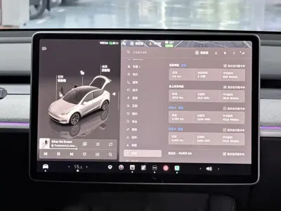 Tesla Model Y 2023, 44000 км, за 24830.94 USD - фото 8