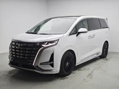 Denza Denza D9 · 2023 год
