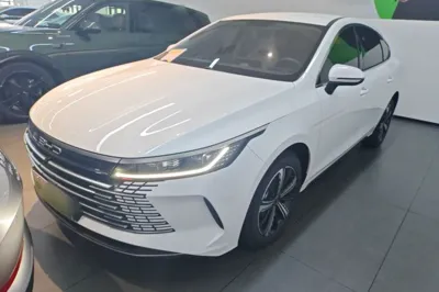 BYD Destroyer 05 · 2023 год