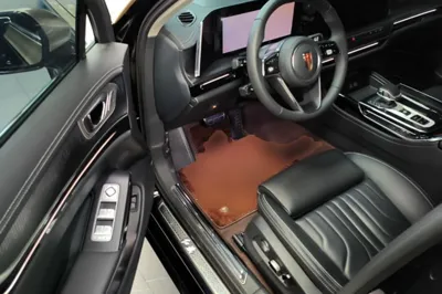 Hongqi H9