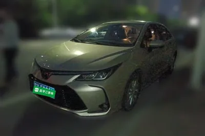 Toyota Corolla · 2019 год