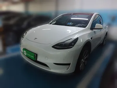 Tesla Model Y · 2022 год