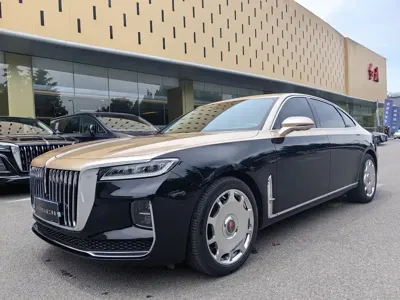 Hongqi Hongqi H9 · 2021 год