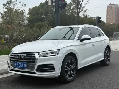Audi Q5L · 2019 год
