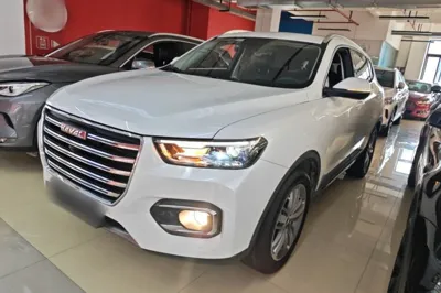 Haval H6 · 2018 год