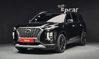 Hyundai Palisade · 2019 год