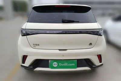 BYD Dolphin 2023, 52100 км, за 9668 USD