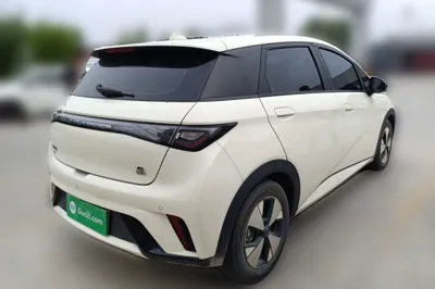 BYD Dolphin 2023, 52100 км, за 9668 USD - фото 6