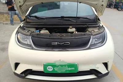 BYD Dolphin 2023, 52100 км, за 9668 USD - фото 21