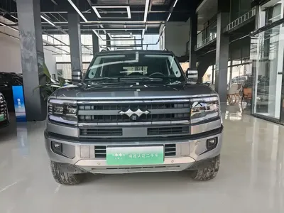 Fang Cheng Bao Leopard 5 2025, 5699 км, за 30870.5 USD