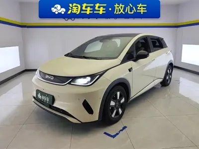 BYD Dolphin · 2025 год