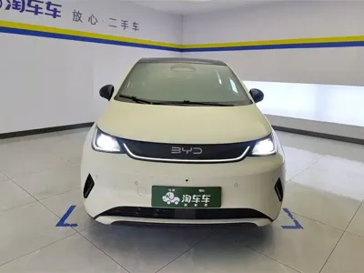 BYD Dolphin 2025, 34800 км, за 11741.97 USD