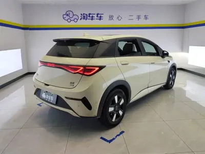 BYD Dolphin 2025, 34800 км, за 11741.97 USD