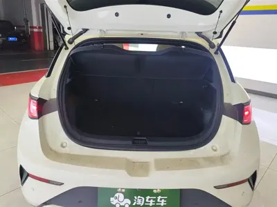 BYD Dolphin 2025, 34800 км, за 11741.97 USD