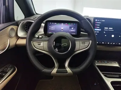 BYD Dolphin 2025, 34800 км, за 11775.22 USD - фото 15