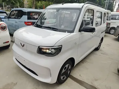 Wuling Zhiguang EV · 2026 год