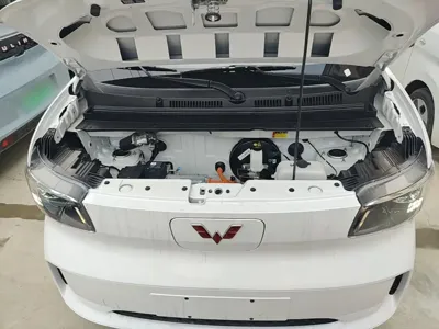 Wuling Zhiguang EV 2026, 100 км, за 7259.91 USD - фото 20
