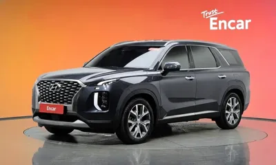 Hyundai Palisade · 2019 год