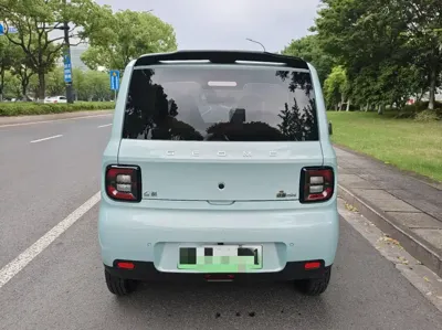 Galaxy Panda 2025, 3000 км, за 4973.42 USD