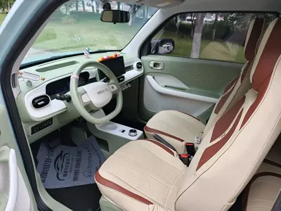 Galaxy Panda 2025, 3000 км, за 4973.42 USD - фото 6