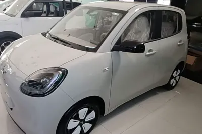 Wuling Hongguang MINIEV · 2025 год
