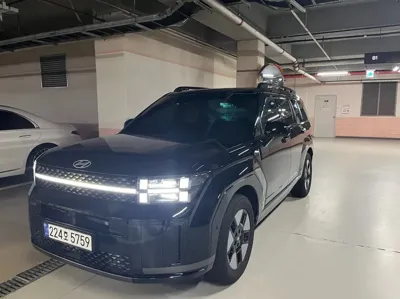 Hyundai Santafe · 2024 год