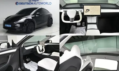 Tesla Model Y · 2024 год