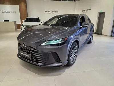 Lexus RX · 2024 год