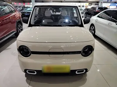 Galaxy Panda 2025, 5500 км, за 5797.42 USD