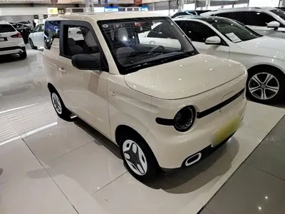 Galaxy Panda 2025, 5500 км, за 5797.42 USD