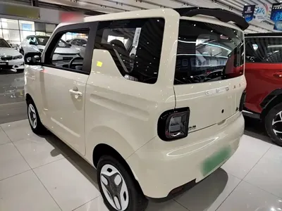 Galaxy Panda 2025, 5500 км, за 5797.42 USD