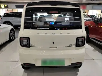 Galaxy Panda 2025, 5500 км, за 5797.42 USD - фото 6