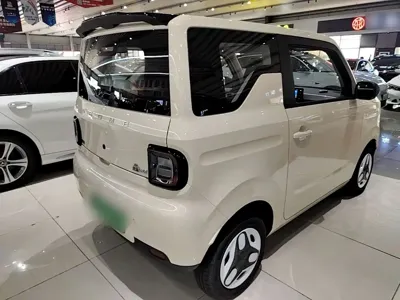 Galaxy Panda 2025, 5500 км, за 5797.42 USD - фото 7