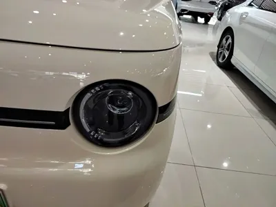 Galaxy Panda 2025, 5500 км, за 5797.42 USD - фото 24