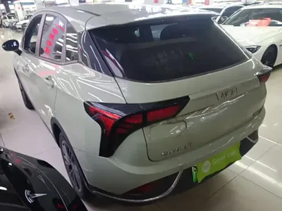 NETA Neta V 2022, 58099 км, за 5607.08 USD
