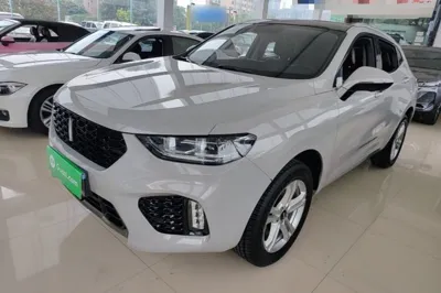 WEY VV5 · 2019 год