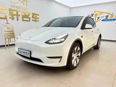Tesla Model Y · 2021 год