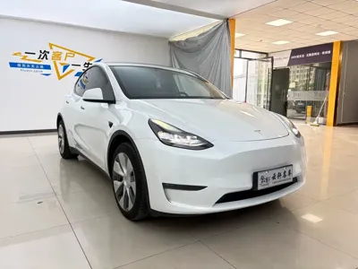 Tesla Model Y 2021, 82000 км, за 20038.58 USD