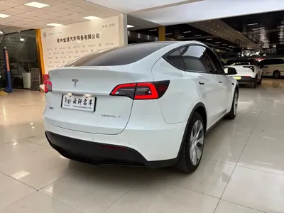 Tesla Model Y 2021, 82000 км, за 19858.4 USD - фото 6